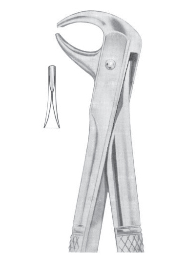Fig. 105 lower incisors 